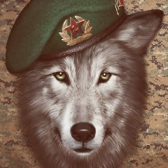 Кирилл Васин, Новокуйбышевск