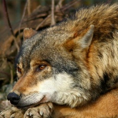 Наталия Глухман, 15.10, Хмельницкий