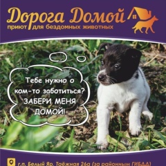 Лена Шевченко, 06.10, Сургут