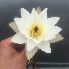 Елена Медведева, 21.12, Санкт-Петербург