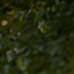 Стефан Баранюк, 27.07.1992, Москва