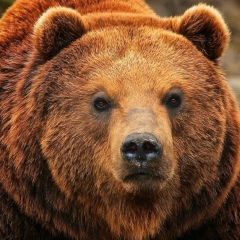 Дима Гумен, 17.02.1997, Новоднестровск