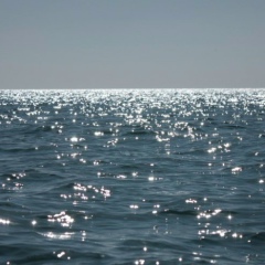 Mustafa Krutoy, 31.05.1985, Астана