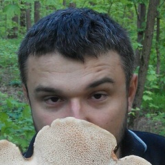 Алексейъ Tsalko, Горловка