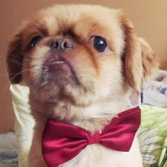 Наточка Хабібі, 24.02.1989, Киев