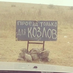 Макс П, Санкт-Петербург