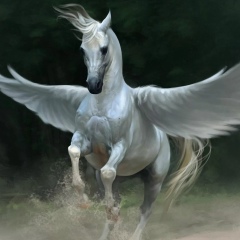 Александр Ковтун, 03.07.1983, Измаил