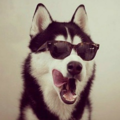 Юрий Викторович, 20.03.1987, Новосибирск