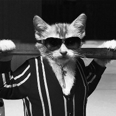 Вадим Ершов, Kyōto