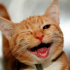 Татьяна Пинчук, 28.01.1977, Тюмень