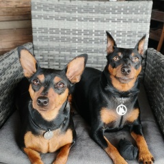 Катерина Размус, 02.06, Санкт-Петербург