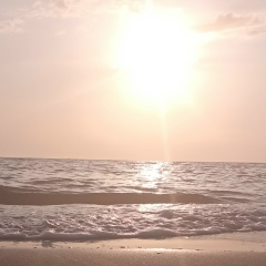 Дарья Воронова, Сочи