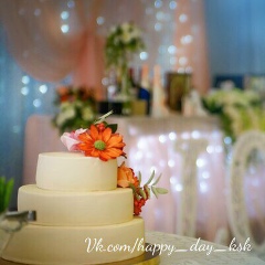 Елена Τарасова, Новосибирск