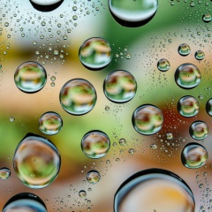 Наталья Короткова, 08.04