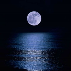 Nika Mamatova, 28.12.1993