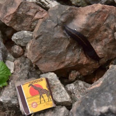 Иван Кублаханов, 12.06