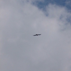 Наталья Куркова, 01.01.1980, Санкт-Петербург