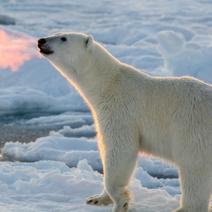 Ирина Сергеева, 25.11.1985, Санкт-Петербург
