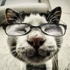 Тёма Шарабанов, 27.05, Саратов