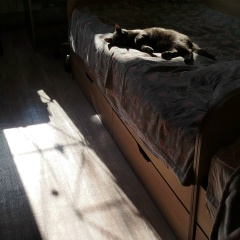 Наталья Челябинка, 04.02, Челябинск