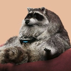 Юрец Берсерк, 31.08.1989, Москва