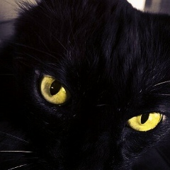 Gabriele Melo, 04.08