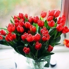 Оксана Шашкова