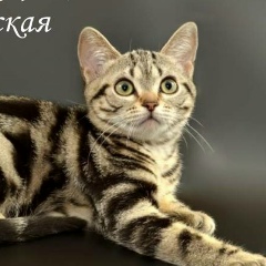 Анна Егорова, Минск