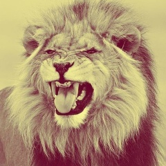 Никита Фомушкин, 01.01, Великий Новгород