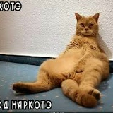 Никита Тицкий, 11.03.1999, Черкассы