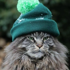 Евгений Маршалкин, 10.03.1983, Рубцовск