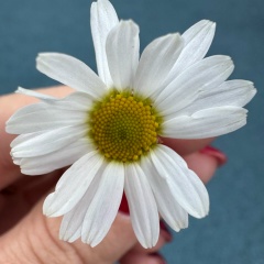 Анастасия Бернгардт, Челябинск