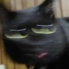 Аскар Абылаев, 17.03.1995, Кызылорда