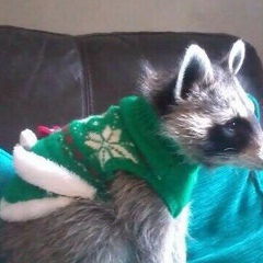 Александр Гуров, 24.07, Темиртау