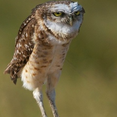 Антон Кирюхин, 17.10.1985, Москва