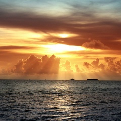 Камшат Сариева