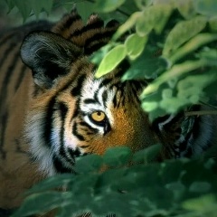 Владимир Тепляков, 15.05, Москва