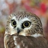 Екатерина Роднева, 19.06, Санкт-Петербург