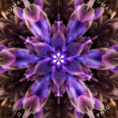 Динара Токбаева, 12.12