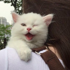 Кирилл Викторов, 15.03