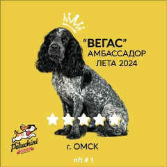 Святослав Белимов, 02.01.1987, Омск