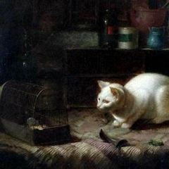 Tandava Nṛtya, Санкт-Петербург