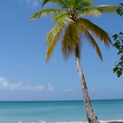 Илья Ваганов, 15.01.1989, Санкт-Петербург