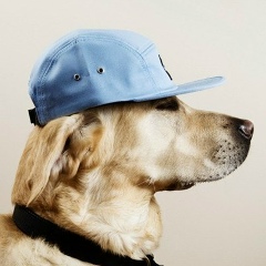 Андрей Иванов, 28.09.1987, Йошкар-Ола