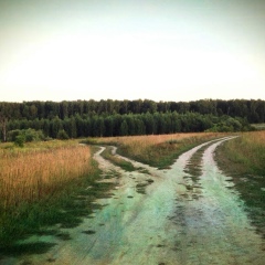 Надежда Верхович, Москва