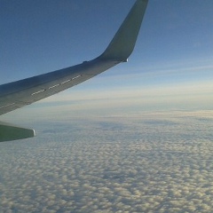 Анастасия Семенова, 16.12.1986, Москва