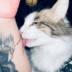 Карина Зуробян, 21.04.1988, Краснодар