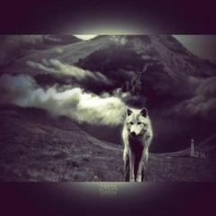 Джанета Мисирбиева, 22.04, Грозный