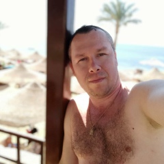 Дмитрий Недобега, Киев