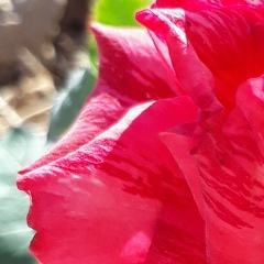 Кырмызы Нурмаганбетова, 30.01, Актау